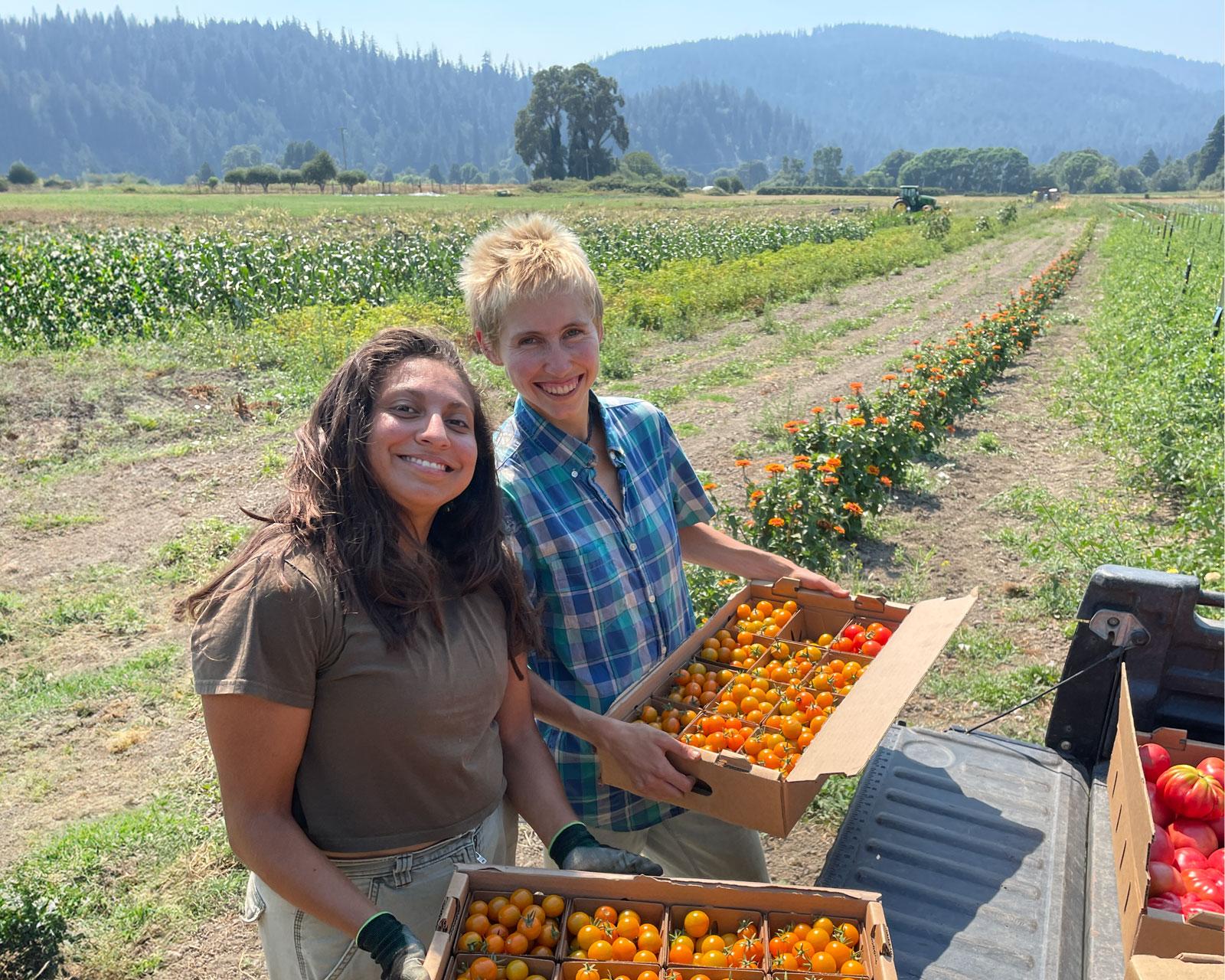 farm workers